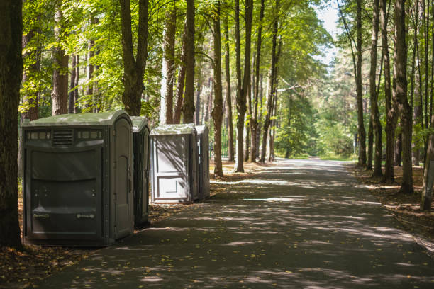Best Wedding porta potty rental  in Menomonie, WI